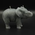 Elefant Grau seite.JPG 81454