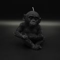Schimpanse Schwarz vorne.JPG 81511